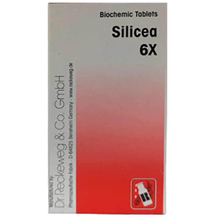 Dr. Reckeweg Silicea Biochemic Tablets - Distacart
