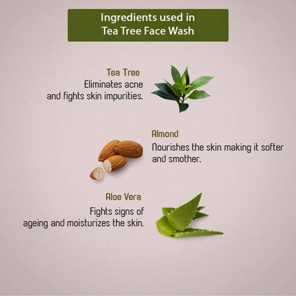 Ancient Living Tea Tree Face Wash - Distacart