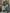 Astita Banarasi Silk Sea Green Saree