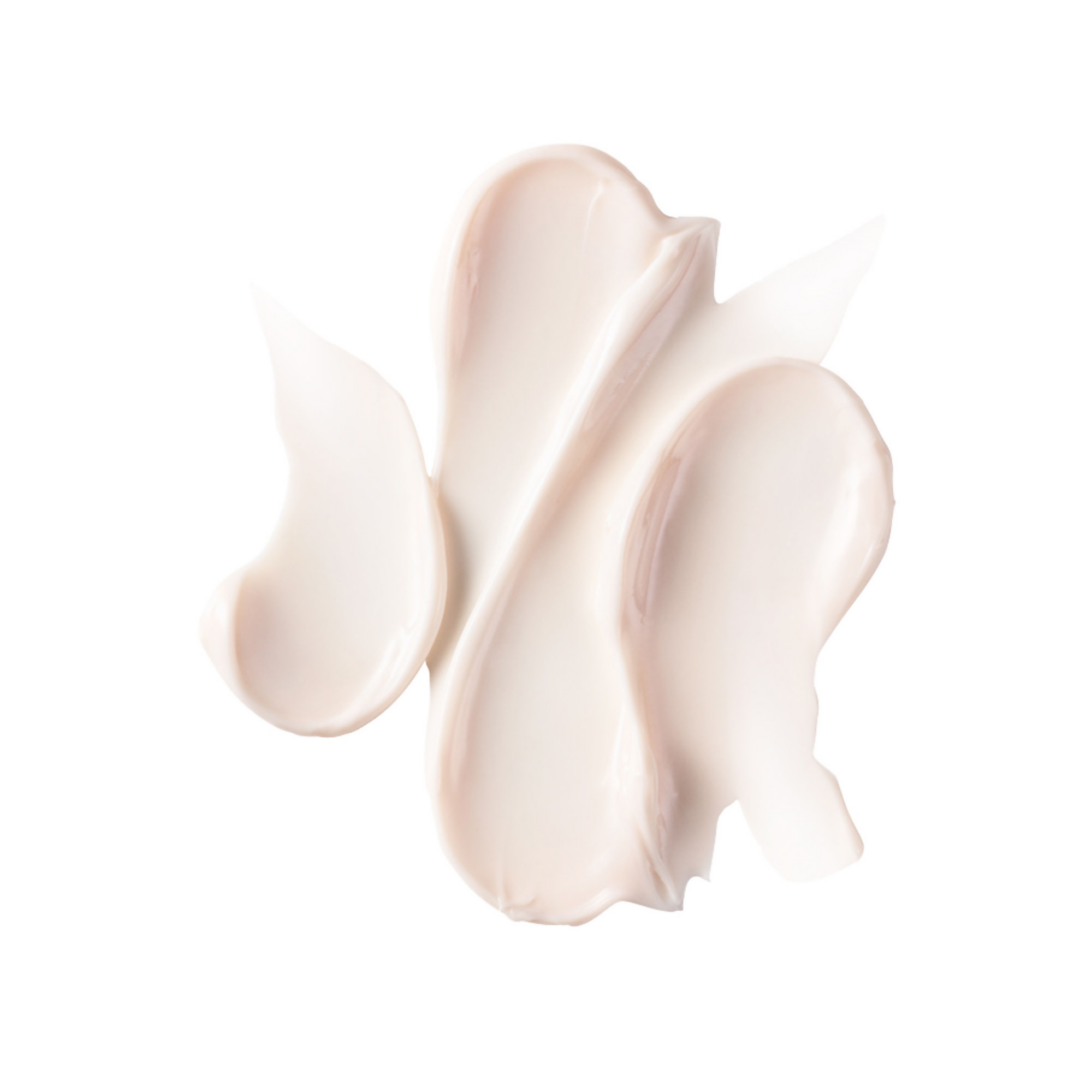 download - 2025-02-03T111207.145