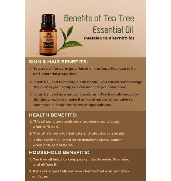 Ancient Living Tea Tree Essential Oil - Distacart
