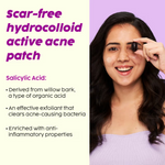 Thumbnail for PLIX The Plant Fix Salicylic Acid Acne Patch - Distacart