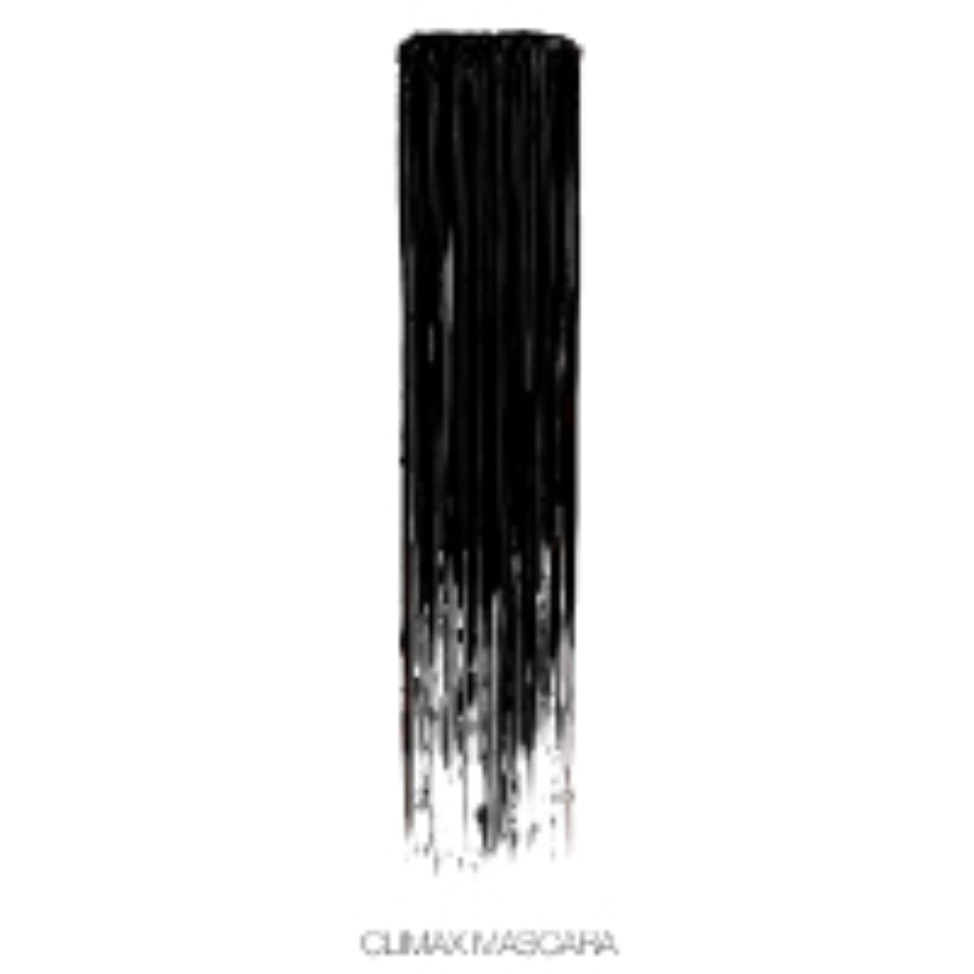 NARS Climax Mascara   Explicit Black