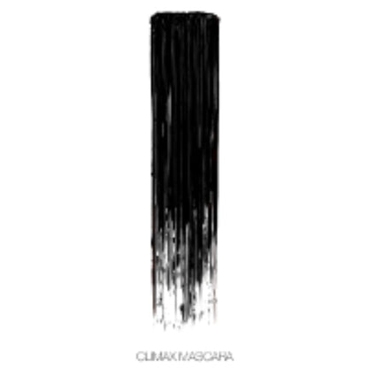 NARS Climax Mascara   Explicit Black