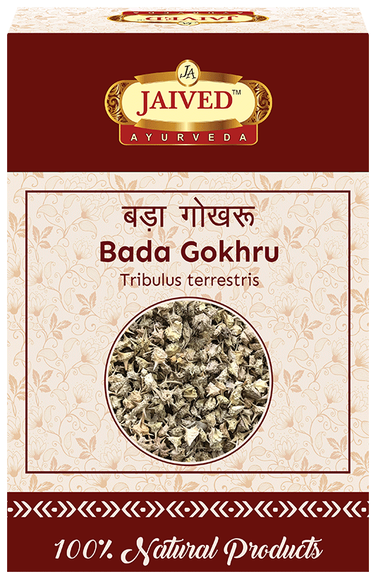 Jaived Ayurveda Bada Gokhru | Boosts Stamina, Enhances Muscle Strength, & Physical