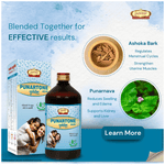 Thumbnail for Jaived Ayurveda Punartone Asav | Ladies Tonic, Hormonal Balance & Menstrual Wellness