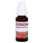Thumbnail for Adel Homeopathy Syzygium Jamb Mother Tincture Q