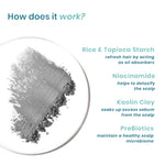 Thumbnail for Wishcare Air Powder Dry Shampoo for Oily Hair & Scalp - No White Cast & Aerosol - Volume Boost