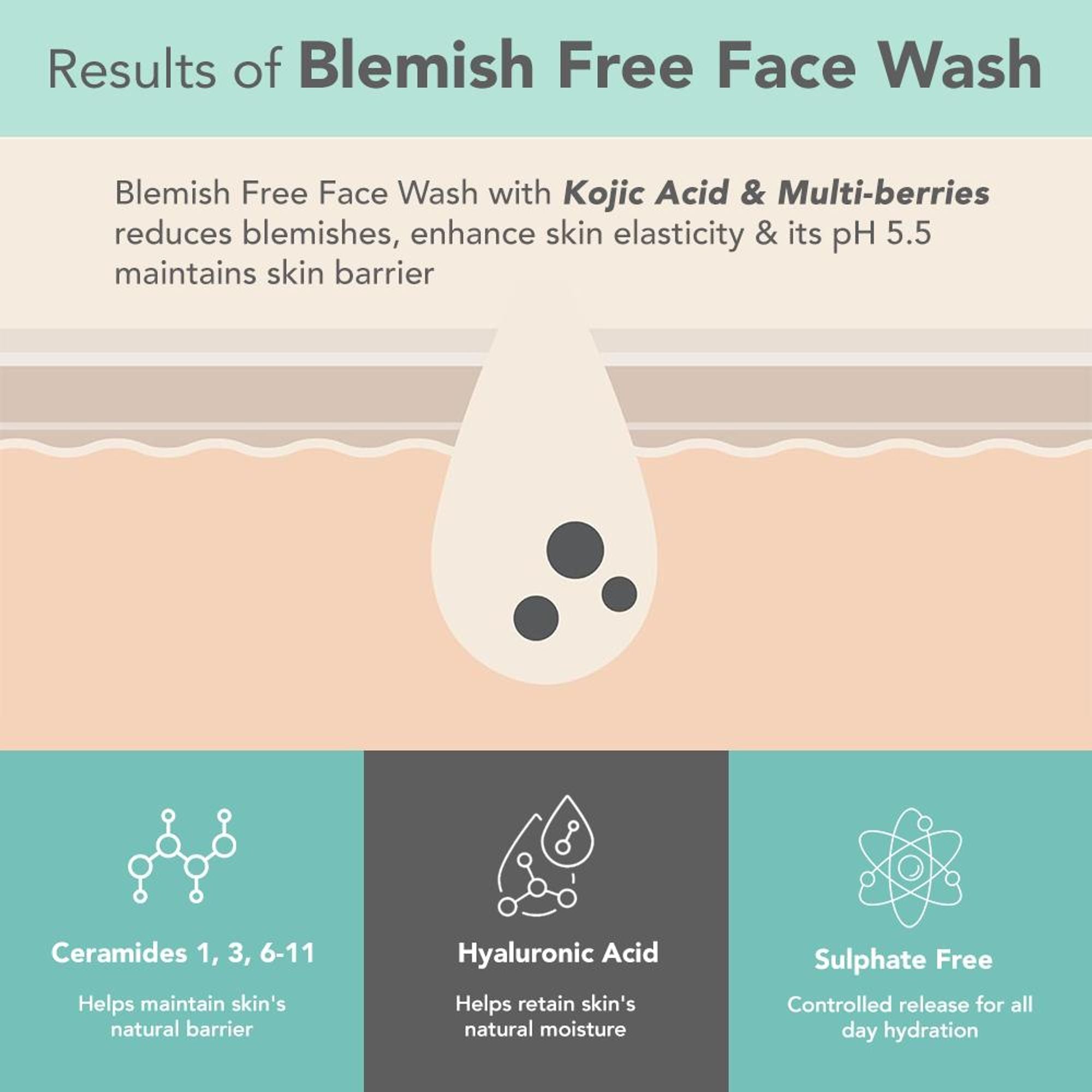 Lotus DermaBotanics Kojic Acid + Multi Berry Blemish-Free Face Wash, pH5.5, For Sensitive Skin additional image 6