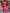 Kalini Bandhani embroidered V Neck Three-Quarter Sleeves Kurta Set - Distacart