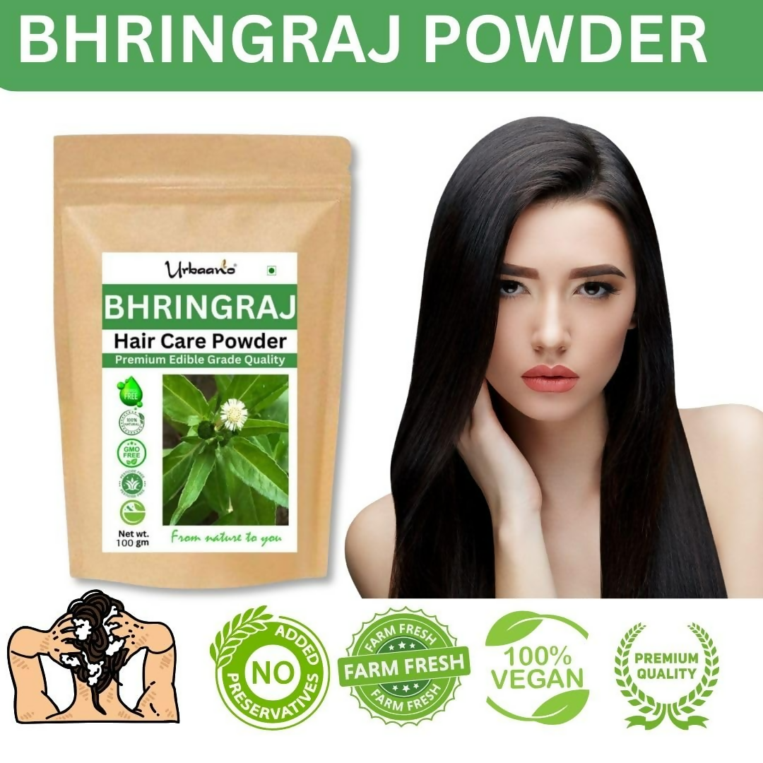 download - 2025-05-05T180939.794