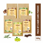 Thumbnail for Vedask Organic Hair Mask Powder Combo Pack
