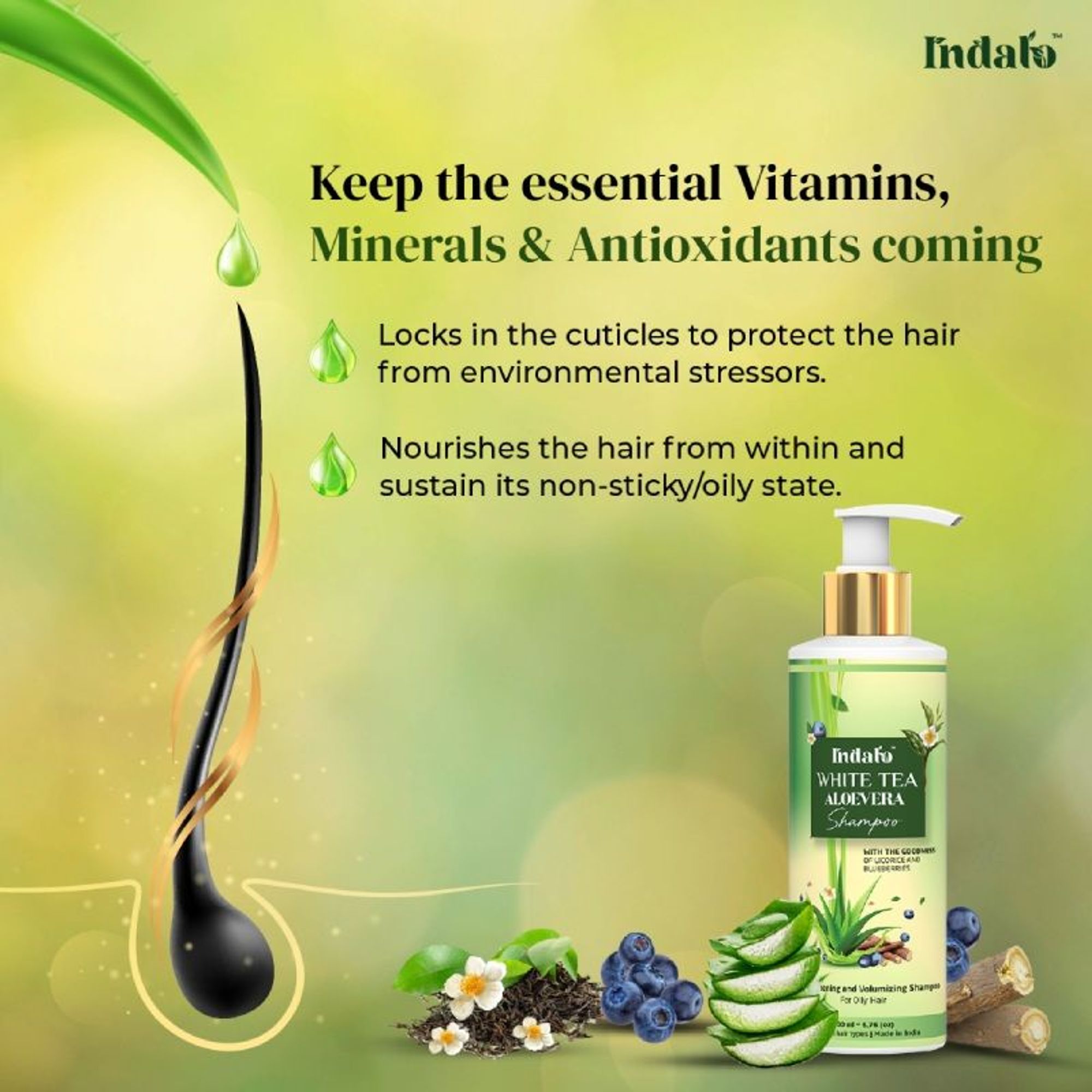 Indalo White Tea Aloe Vera Shampoo For Oily Hair - Dista