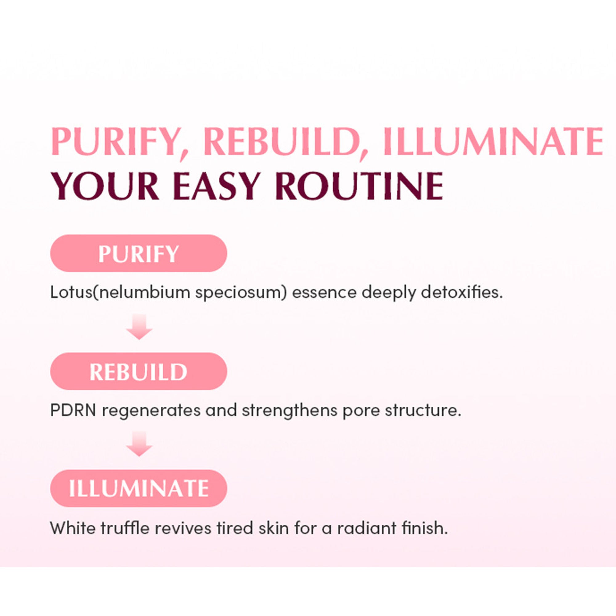 Eqqualberry Collagen Pore Tight-Up Gel Toner Pads – Hydrates & Refines Pores - Distacart