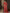 Anouk Rose Gold & Red Woven Design Zari Pure Georgette Kanjeevaram Saree - Distacart
