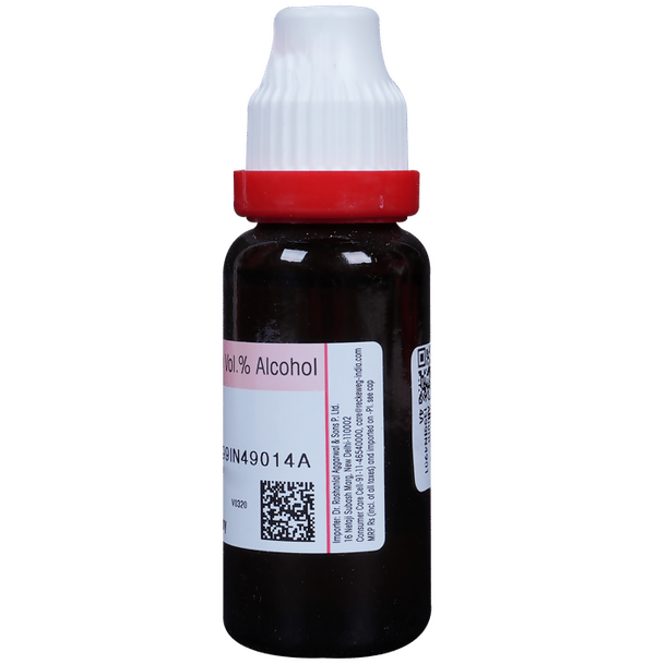 Dr. Reckeweg Allium Sativum Mother Tincture Q