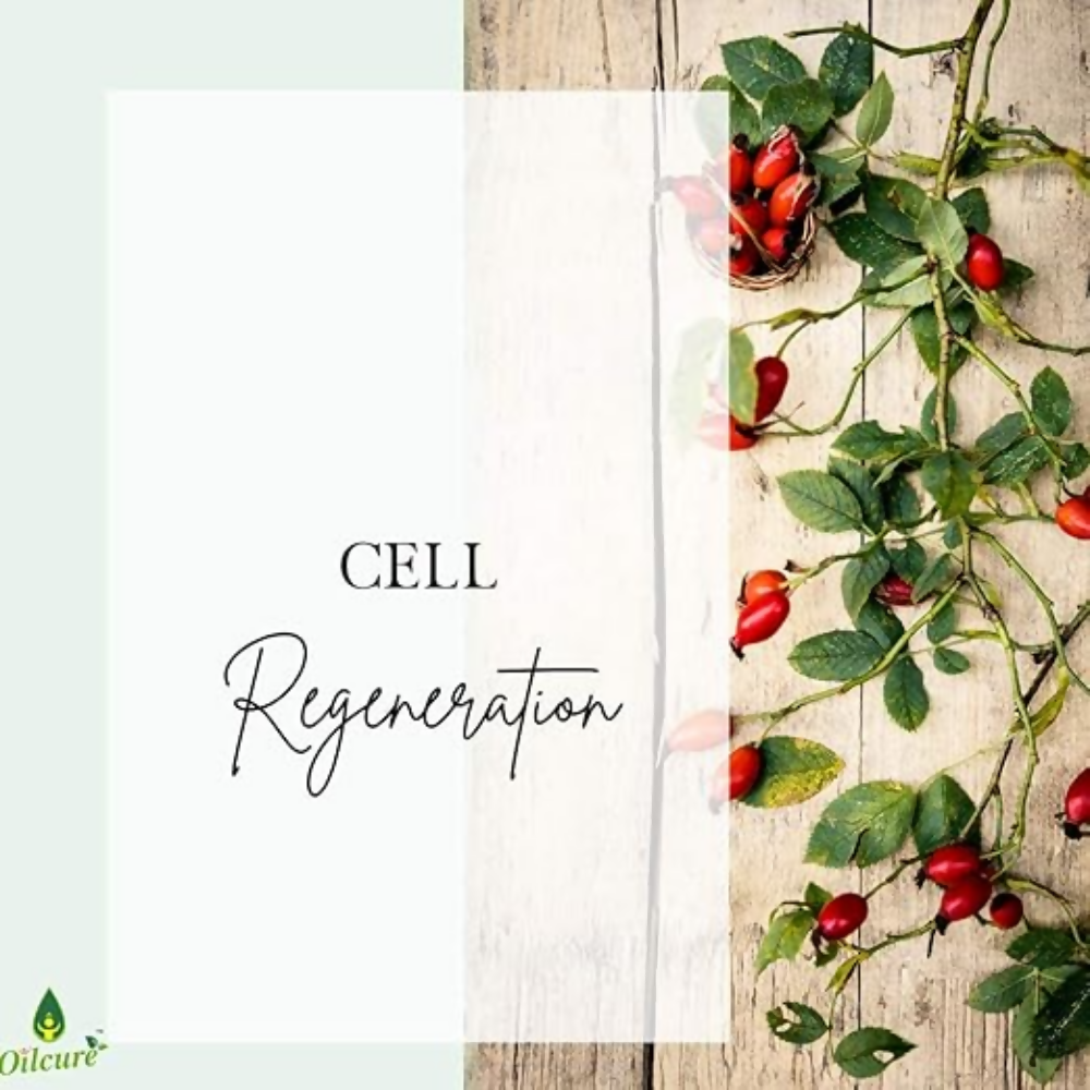 Oilcure Rosehip Oil - Distacart