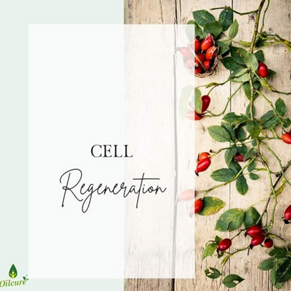 Oilcure Rosehip Oil - Distacart