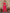Ode by House of Pataudi Floral Printed Regular Kurta with Trousers - Distacart