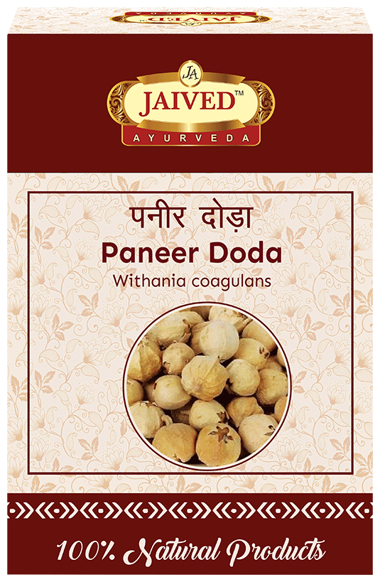 Jaived Ayurveda Paneer Doda | Supports Healthy Blood Sugar Levels & Enhances Vitality