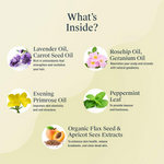 Thumbnail for Arata Natural Anti-Aging Face Kit