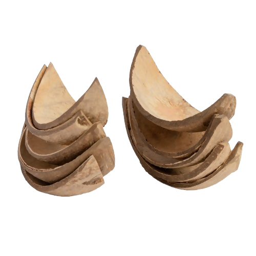 Thenga Coconut Shell Boats - Dista