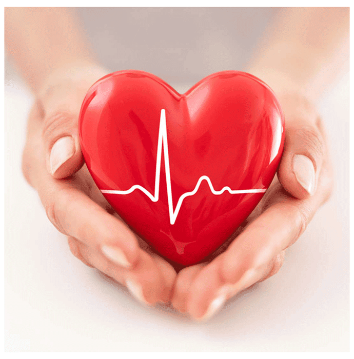 Minature Celery Leaf Powder