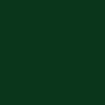 Thumbnail for kinded liquid eye liner dapper green