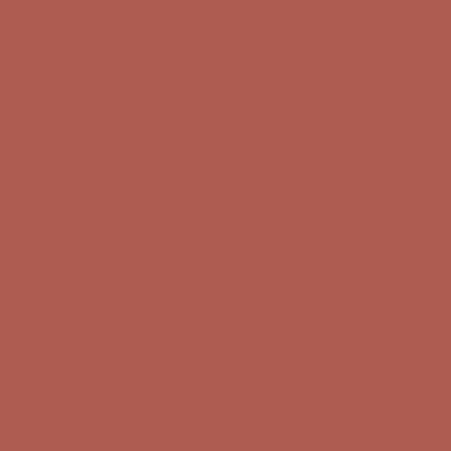kinded liquid lip colour lipstick lip gloss 05 rust crust