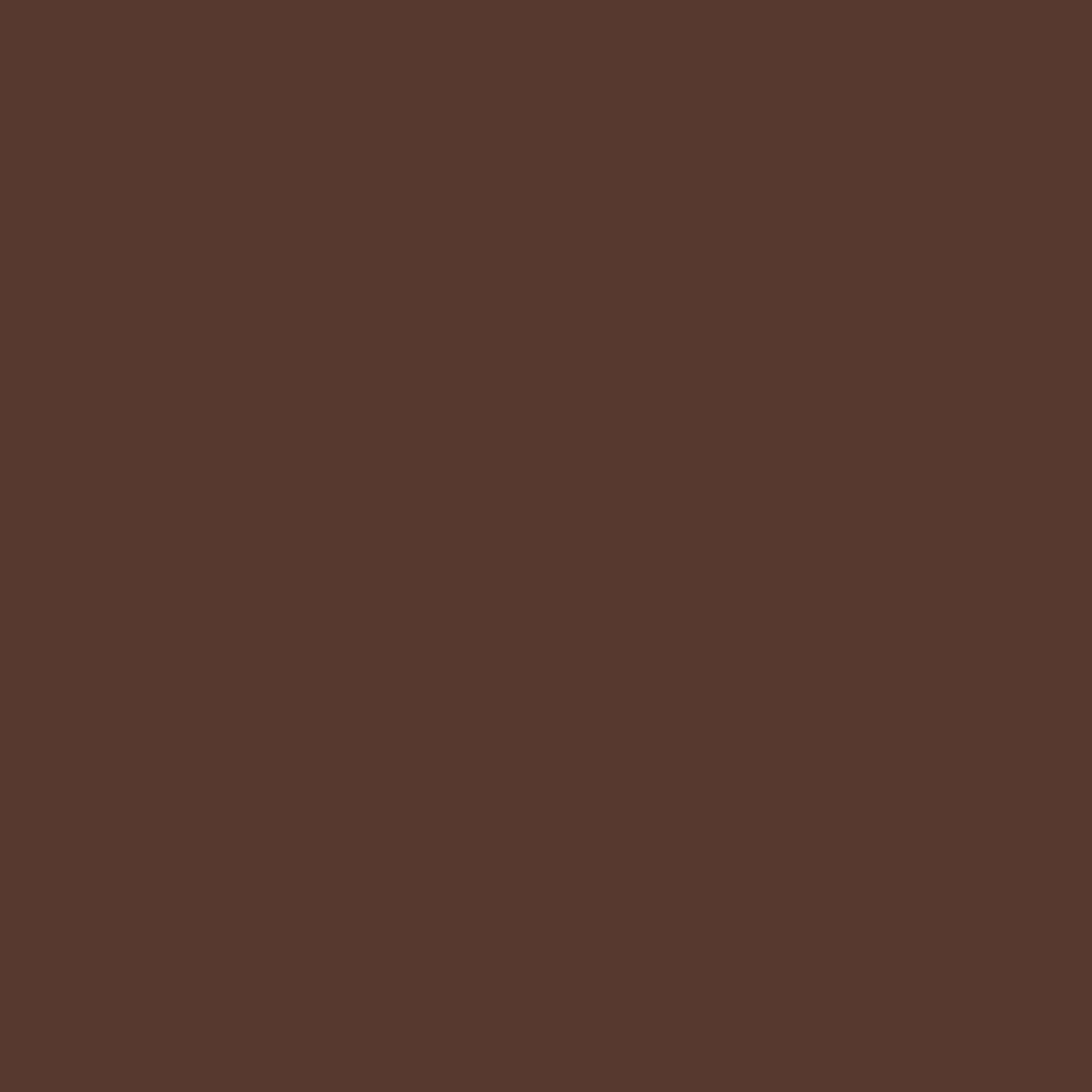 kinded liquid lip colour lipstick lip gloss 07 choco brown