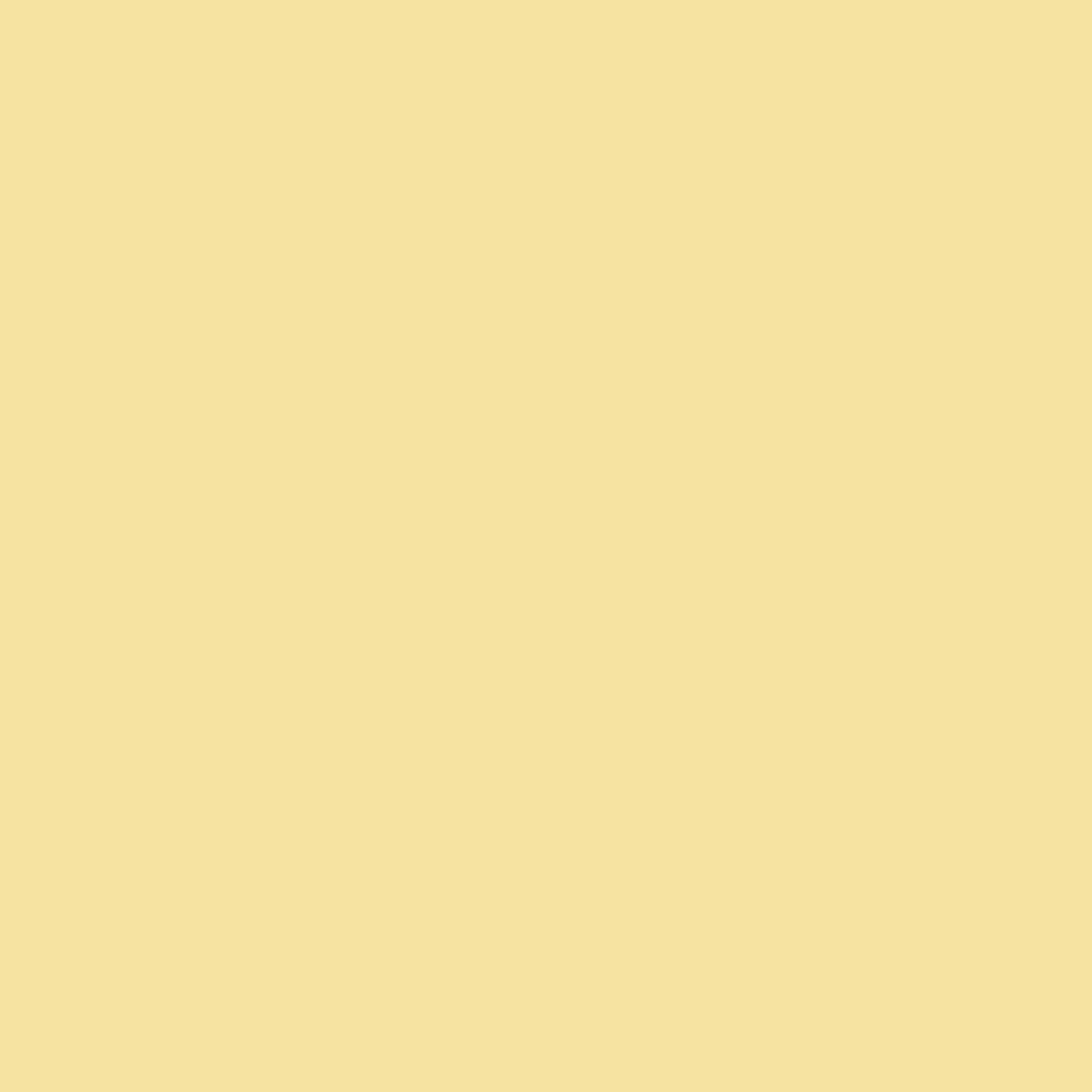 kinded setting loose powder banana yellow