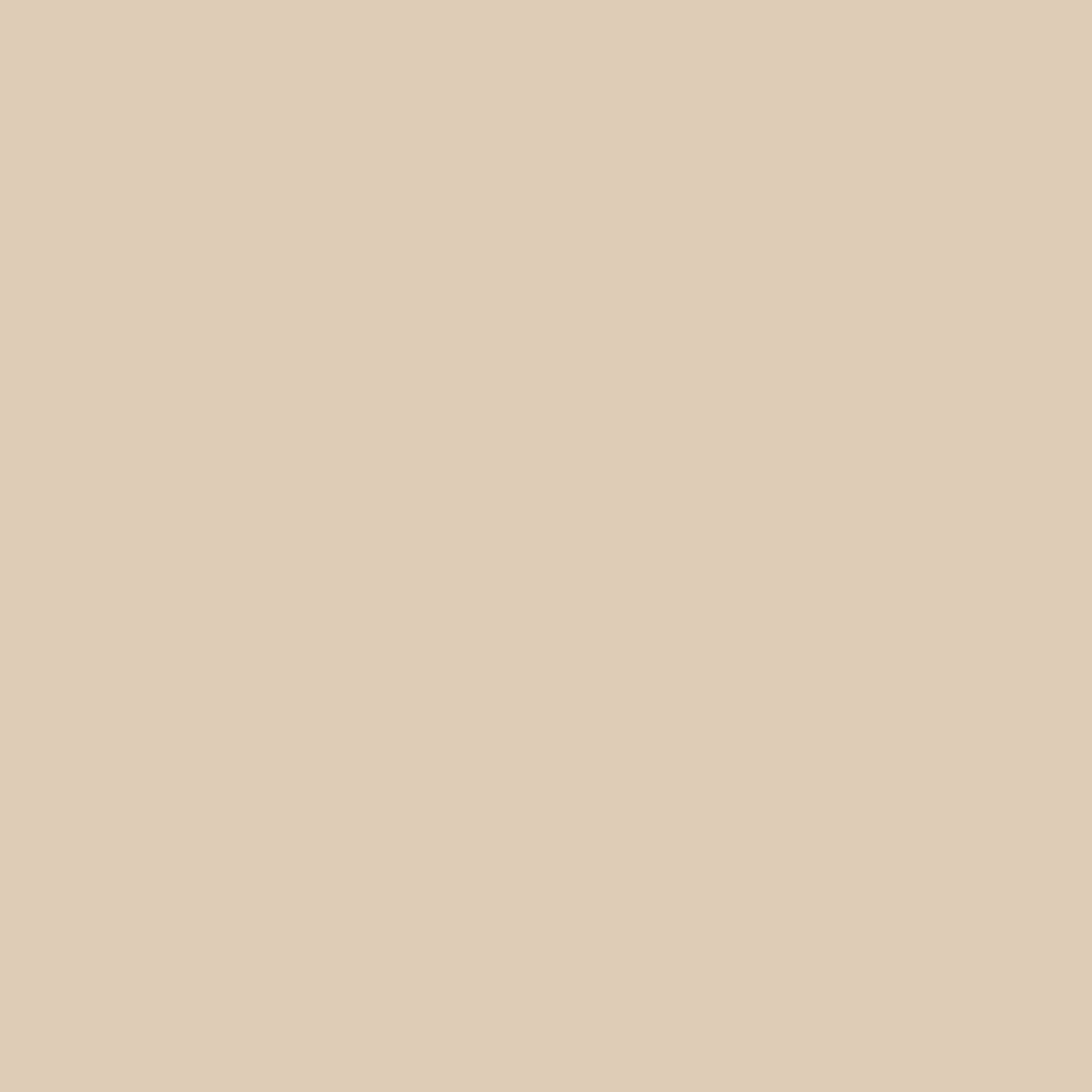 kinded setting loose powder natural nude