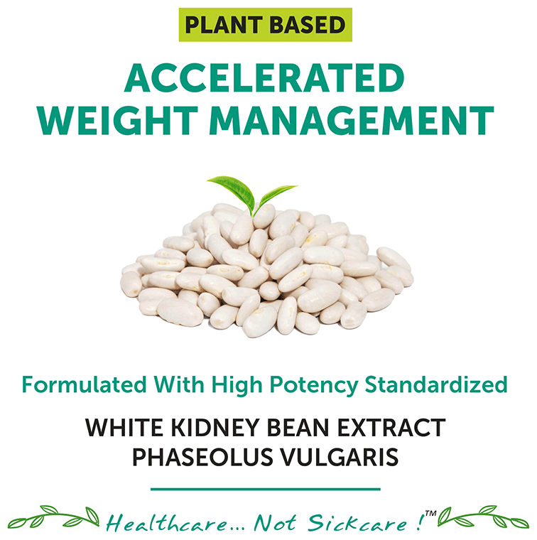 bliss welness carb controller white kidney bean extract vegetarian capsule