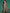 Sangria Foil Print Gotta Patti Panelled Kurta Set - Distacart