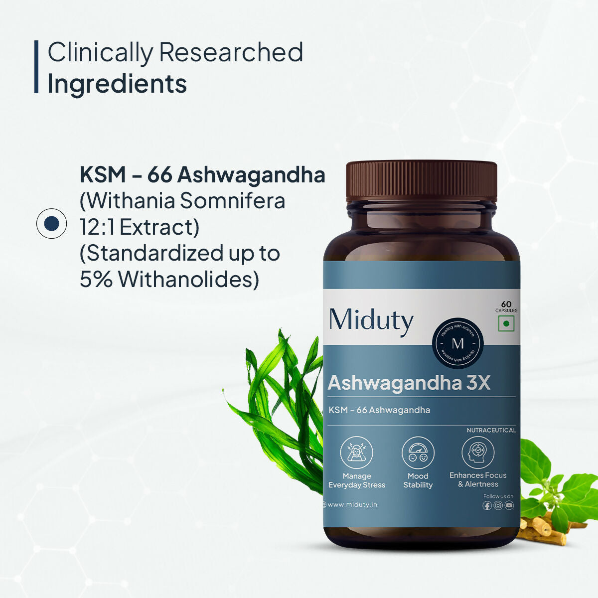 Miduty KSM 66 Ashwagandha 3x capsules - Distacart
