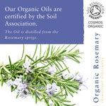 Thumbnail for Absolute Aromas Organic Rosemary Essential Oil - Distacart