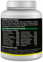 Thumbnail for Sabates Fast Gain Pro Powder