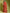 Anouk Red & Yellow Ethnic Motifs Printed Embroidered Saree - Distacart
