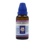 Thumbnail for Father Muller Echinacea Angustifolia Dilution - Distacart