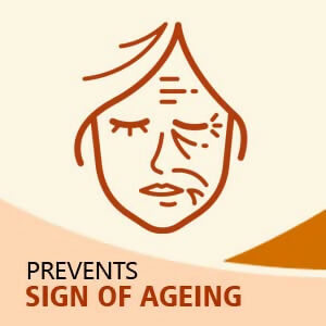 311LLliwkSL