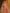 Astita Banarasi Silk Mustard Saree