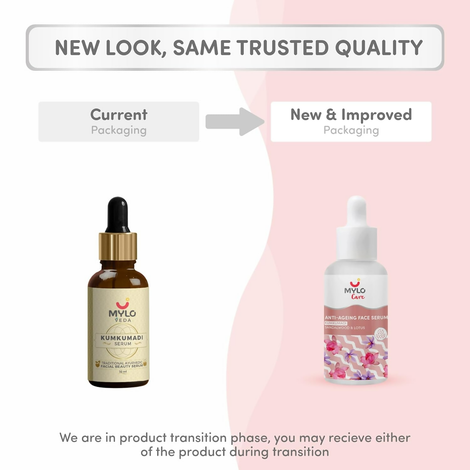 download - 2025-01-24T122705.289