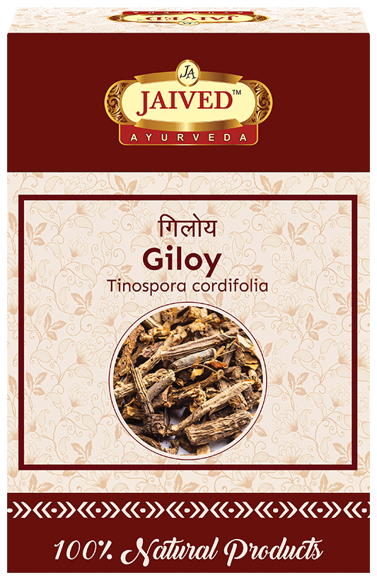 Jaived Ayurveda Giloy | Boosts Immunity, Fights Infections & Enhances Overall Wellness