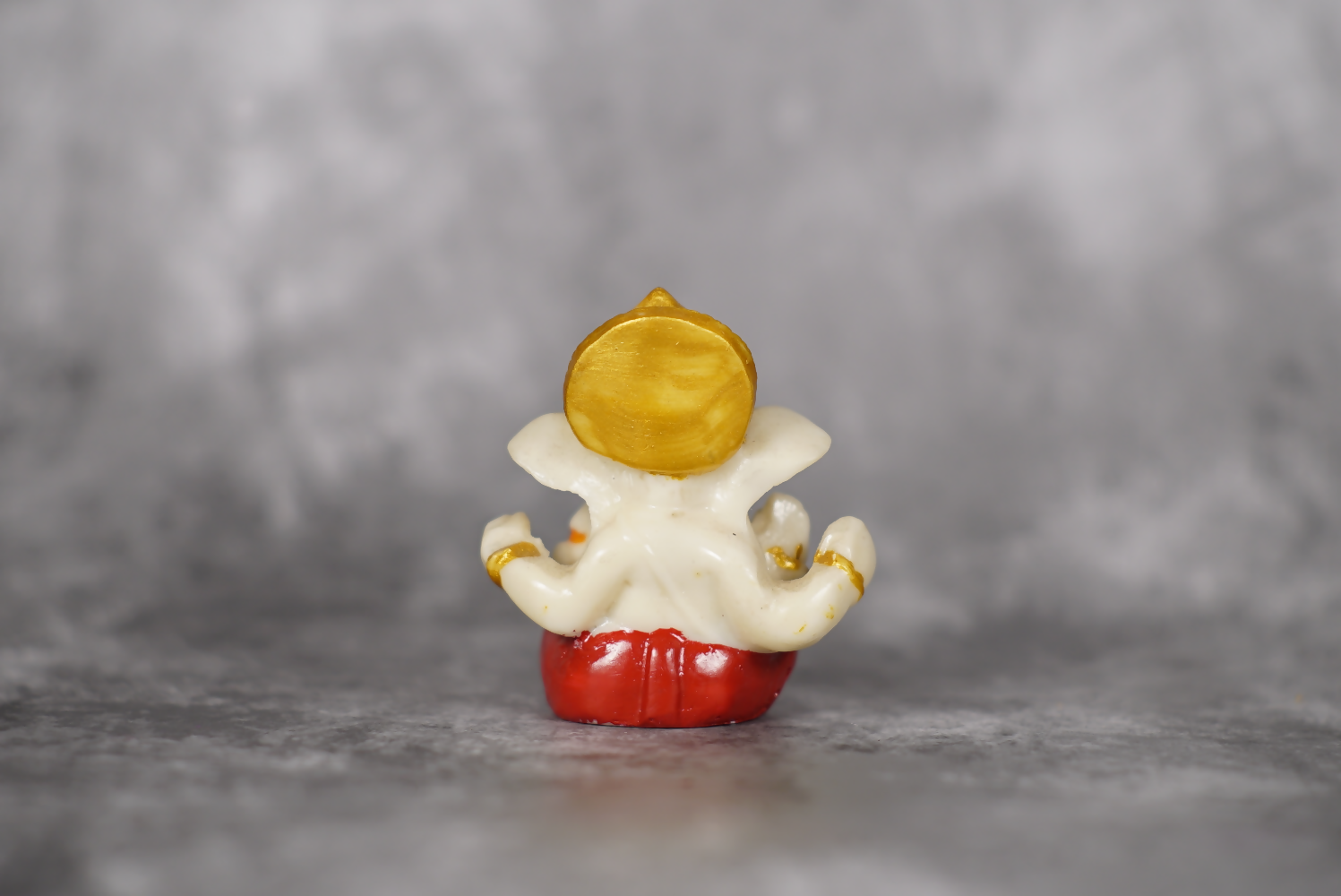 UploadsImages_CNU6798 (2) (1)