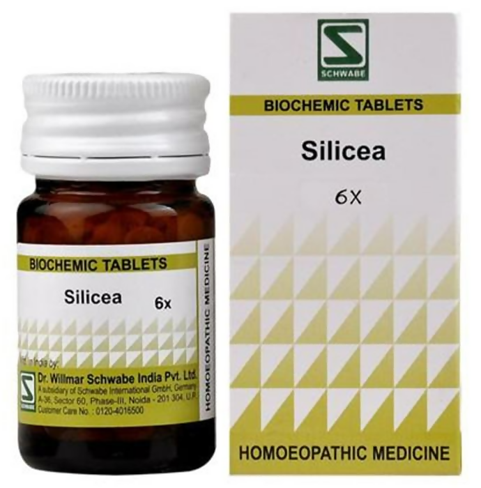 Dr. Willmar Schwabe India Silicea Biochemic Tablets - Distacart