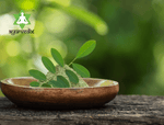 Thumbnail for Ayurvedix Organic Indigo Powder - Natural Hair Colour - Distacart