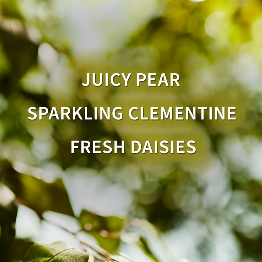 download - 2025-03-26T164036.969