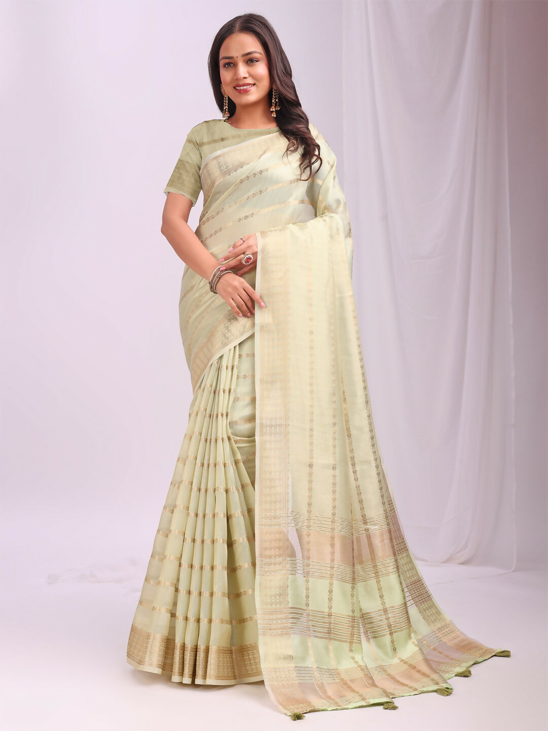 Astita Organza Light Green Saree