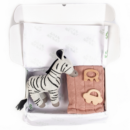 New Born Gift - Blanket, Zebra, Elephant Teether and Car Teether 6
