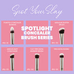 Thumbnail for PAC Studio Spotlight Concealer Series (5 Brushes) - Distacart